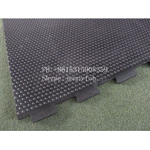 European Popular Cheap Rubber Cow Mats, Rubber Stable Mats (GM0421)